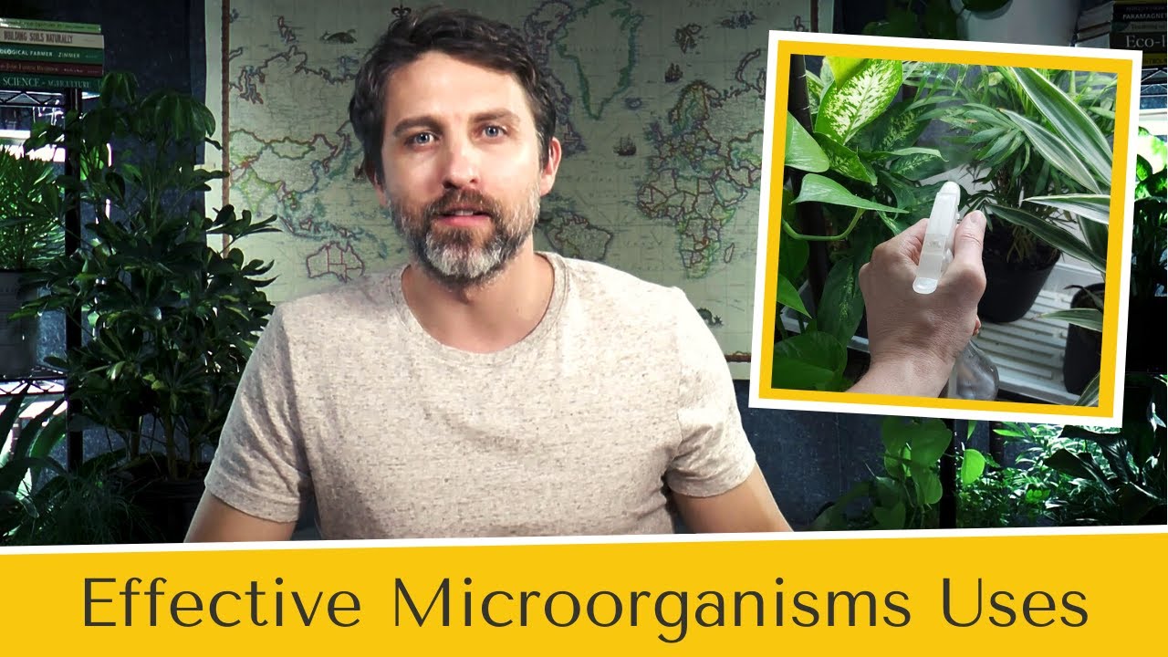 Effective Microorganisms Uses