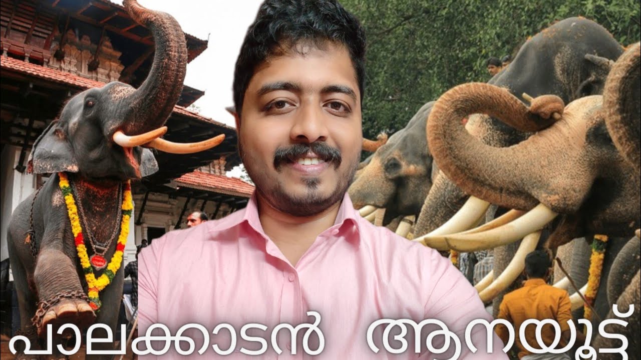  🐘Aanayoottu Vlog🐘 | Ongallur Thali Temple - Pattambi 