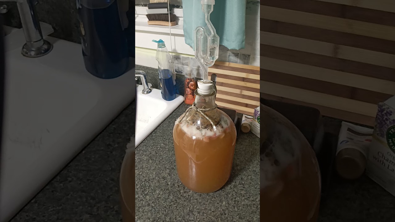 my 1st Mead brew using meadowsweet and strawberrys
