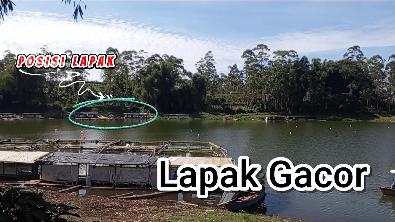 Mancing di Situ CIleunca: Semua pemancing dapat hasil di lapak ini