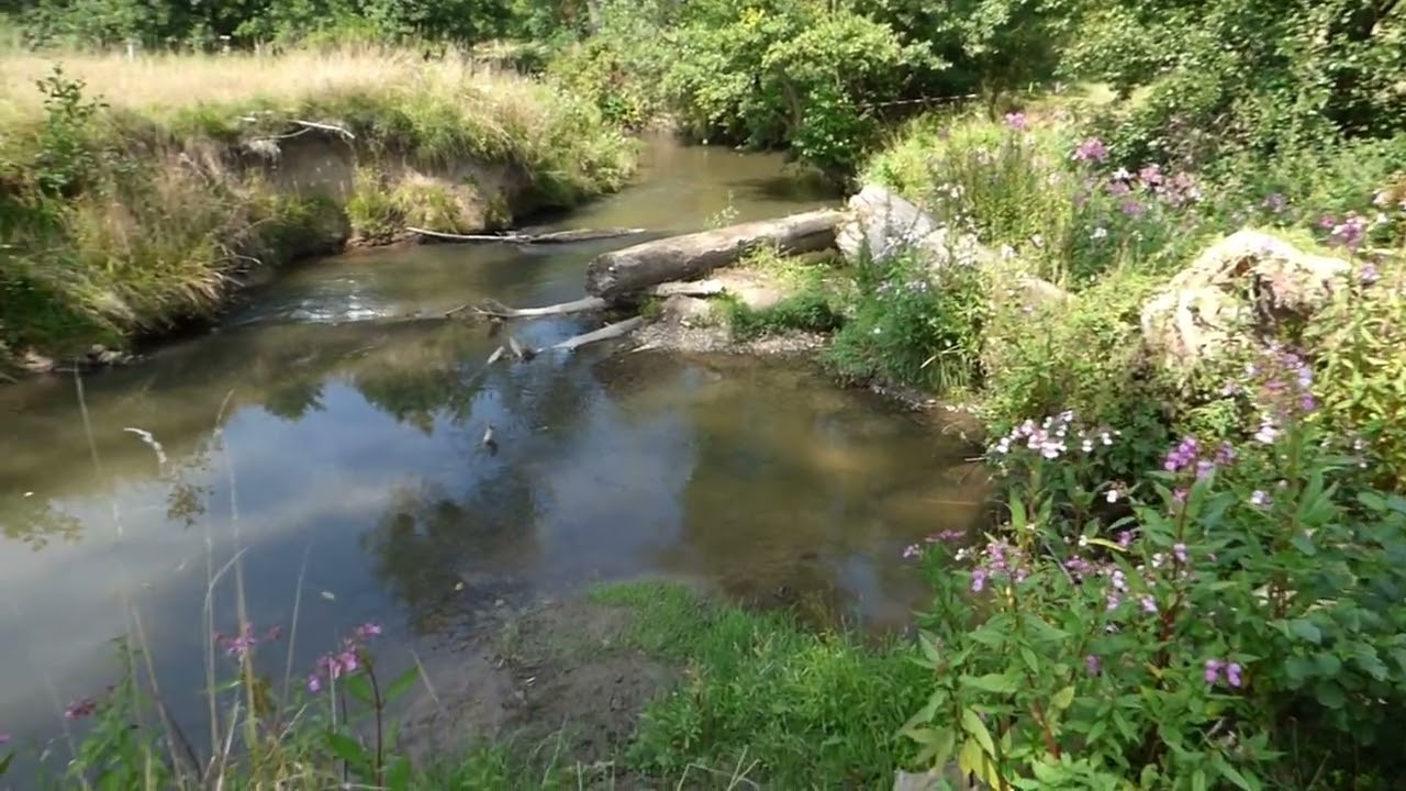 Sobota 09 .08 .2025.