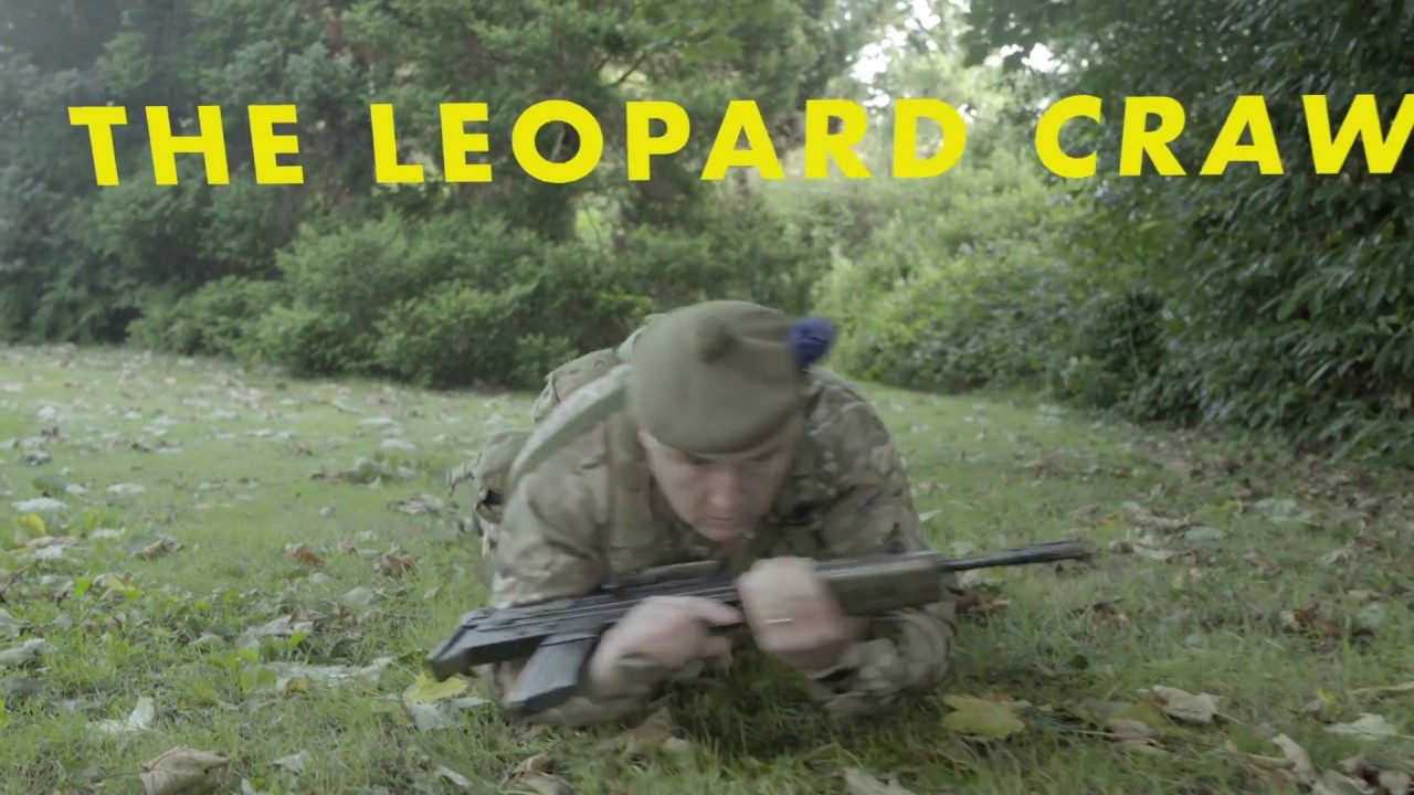 Движение ACF в полевых условиях