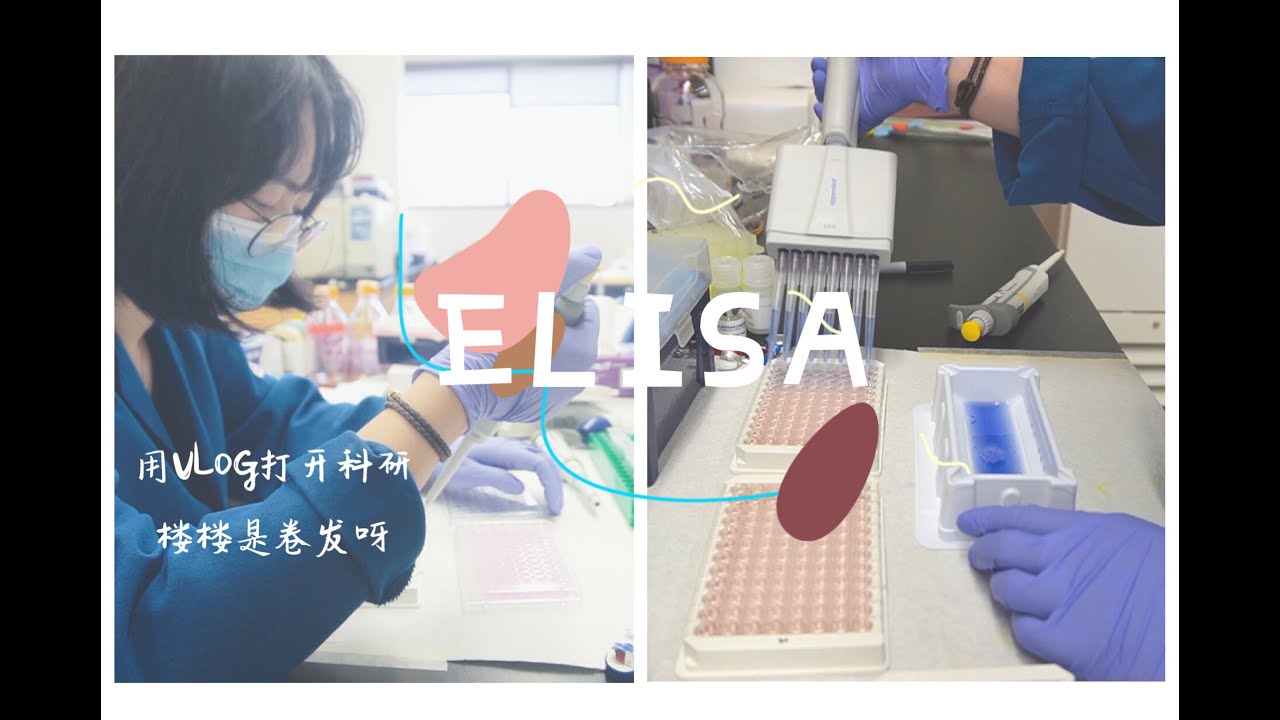 [Eng Sub][Vlogger's labwork] tutorial for ELISA -- a classical biological experiment | 原来科研这么下饭