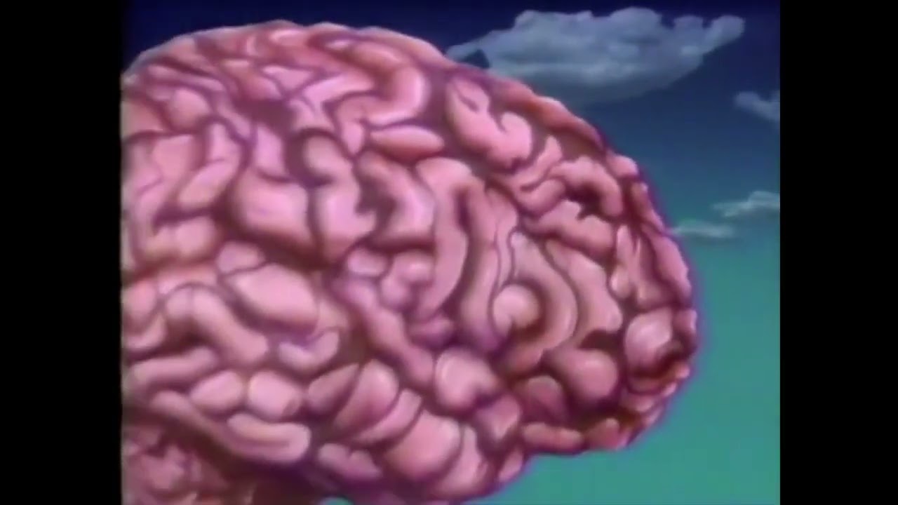 1991 Mr  Wizard's World Opening Theme Song