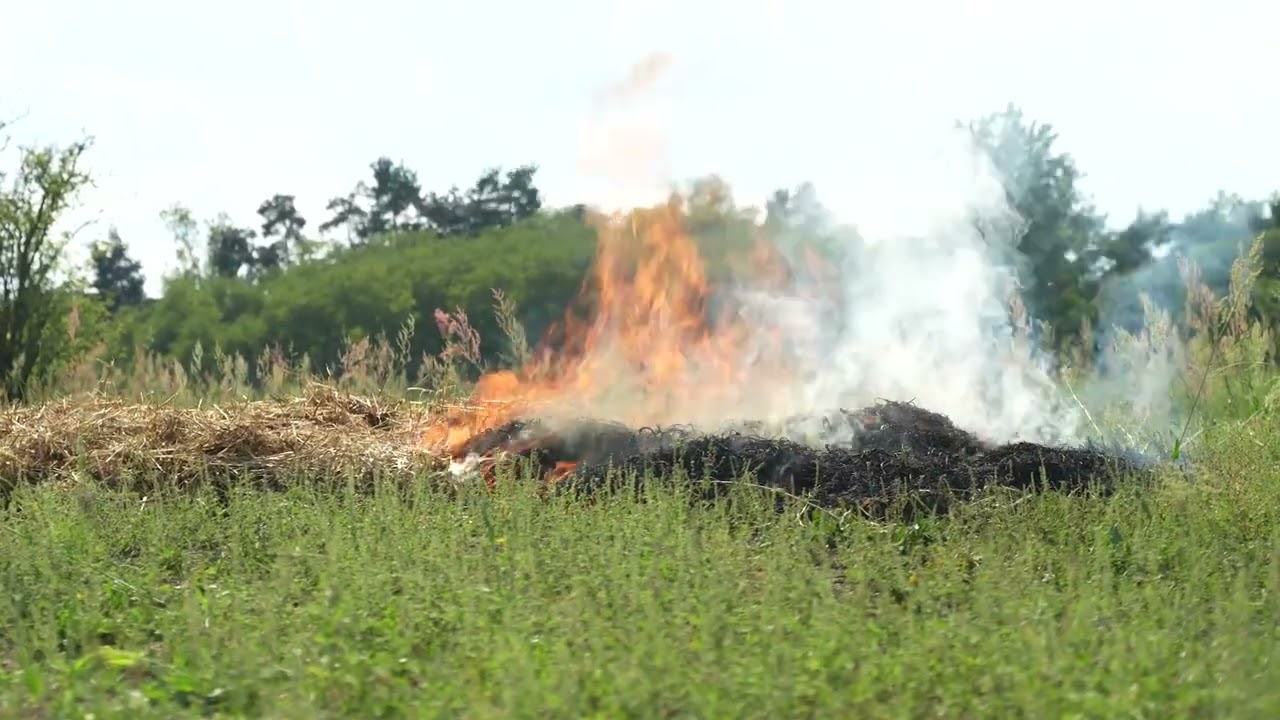 &Eacute;g&eacute;steszt szalma