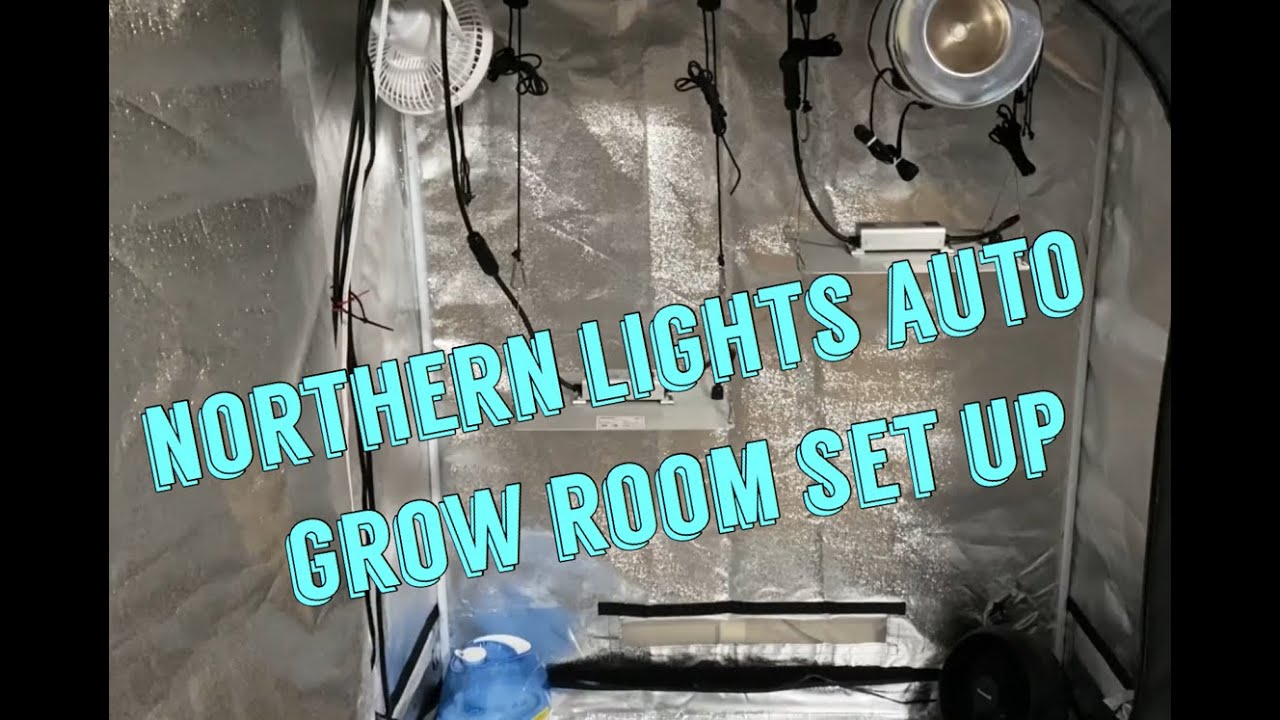 Northern Lights Auto - Seed to Harvest - Budget Grow Set-up