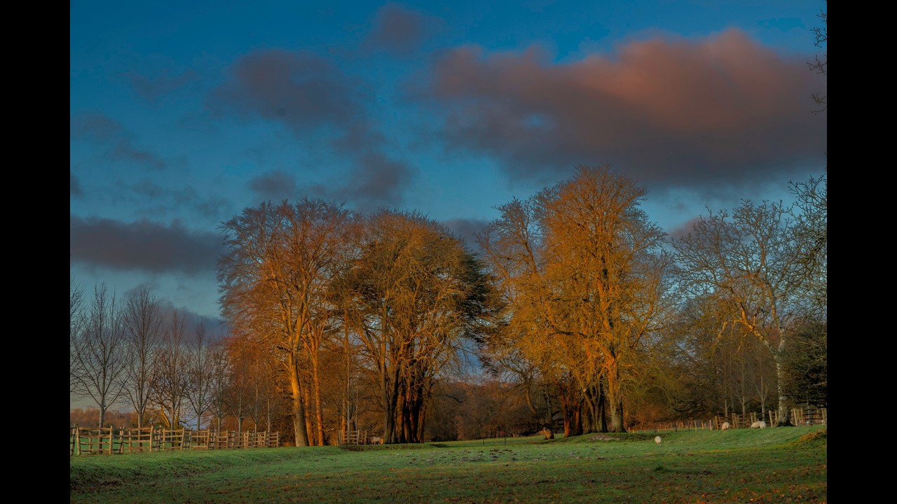 Chettle Parkland