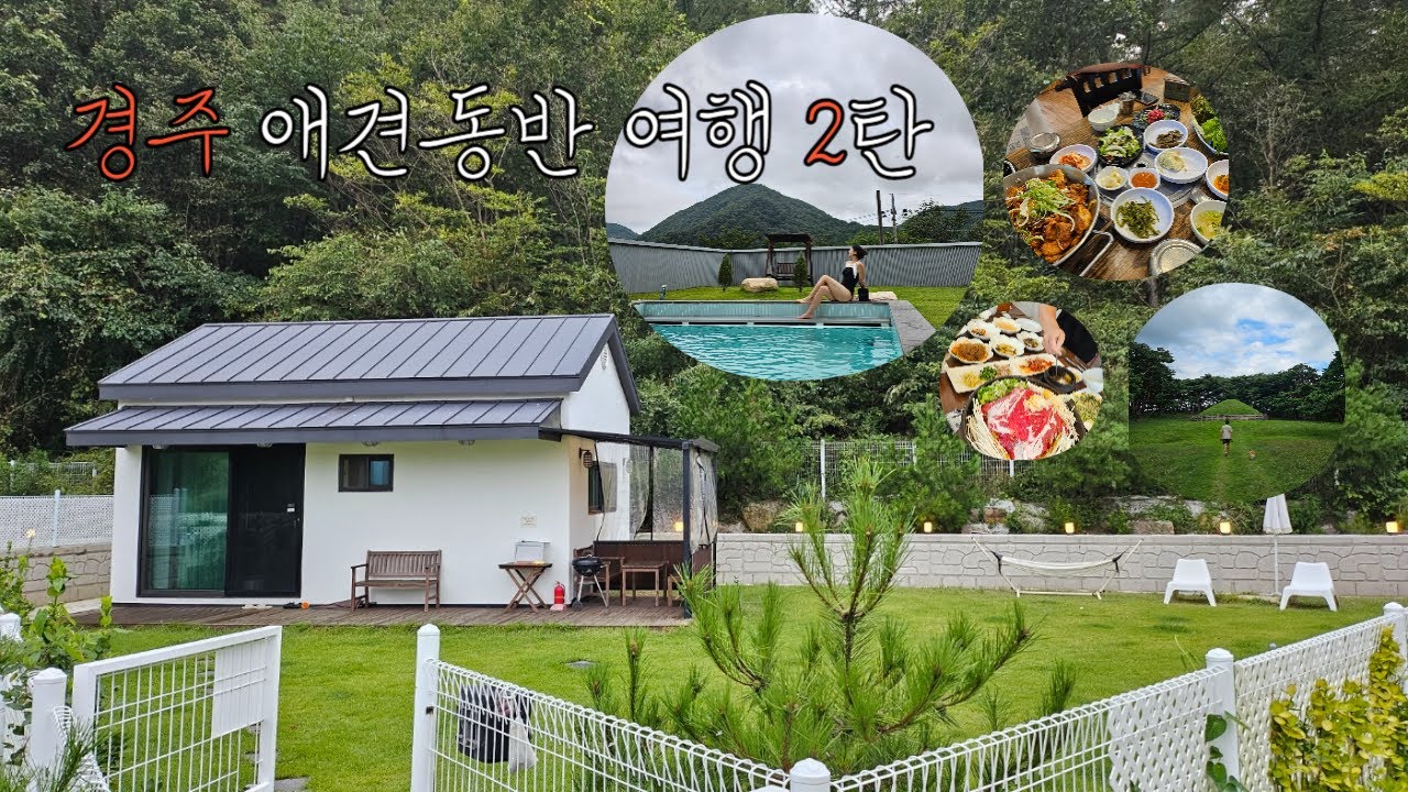 애견동반 경주여행2탄! 경주 애견동반 숙소 여기오때?/카페괘릉/달이네 집/두온 풀빌라/애견동반 숙소 추천/경리단길