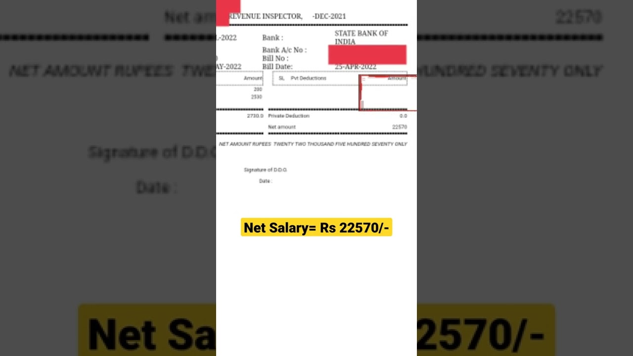 Salary Slip Of Revenue Inspector || Newly Joined @odisha 