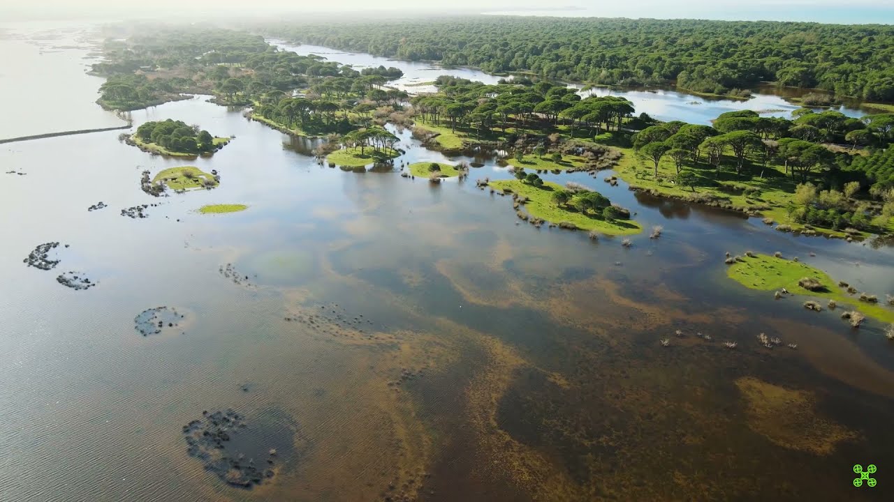 Prokopos Lagoon and Strofilia Forest - Mavic Air 2 (aerial video)