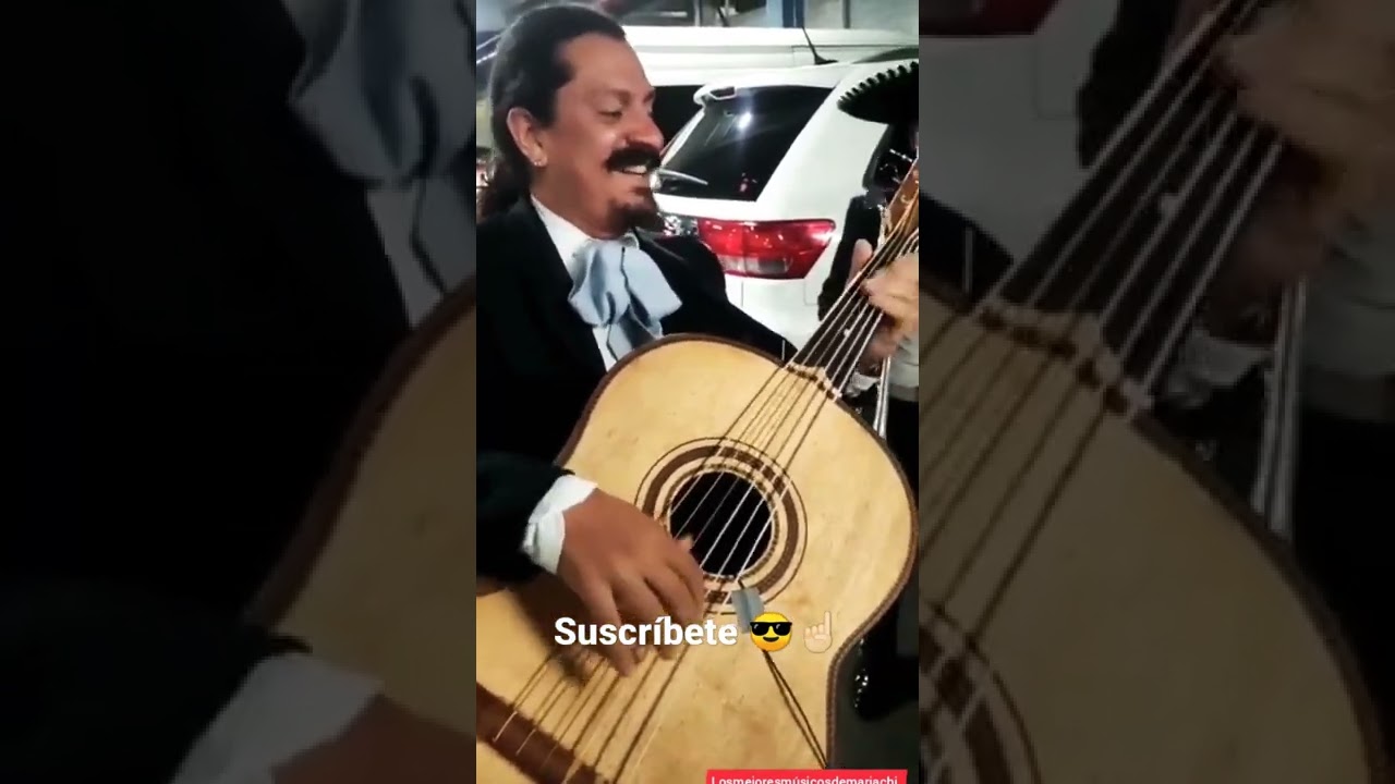 Cuando el Mariachi toca la de Mario Bros (Guitarron) 😎
