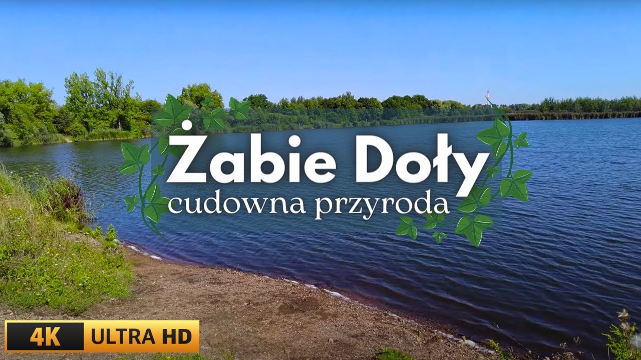 Żabie doły, czyli cudowna przyroda na granicy Chorzowa i Bytomia