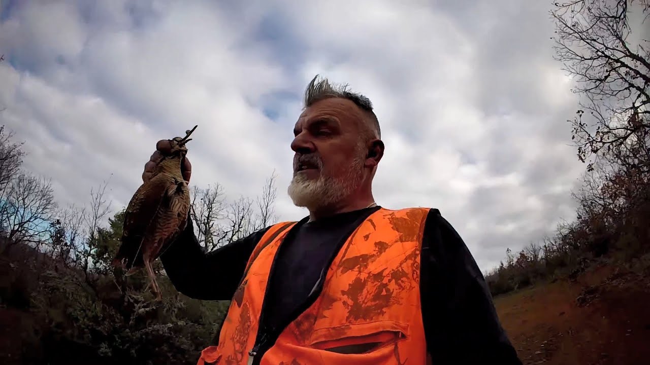 woodcock hunting Greece 23/1/2026μπεκατσες by teo orestiada