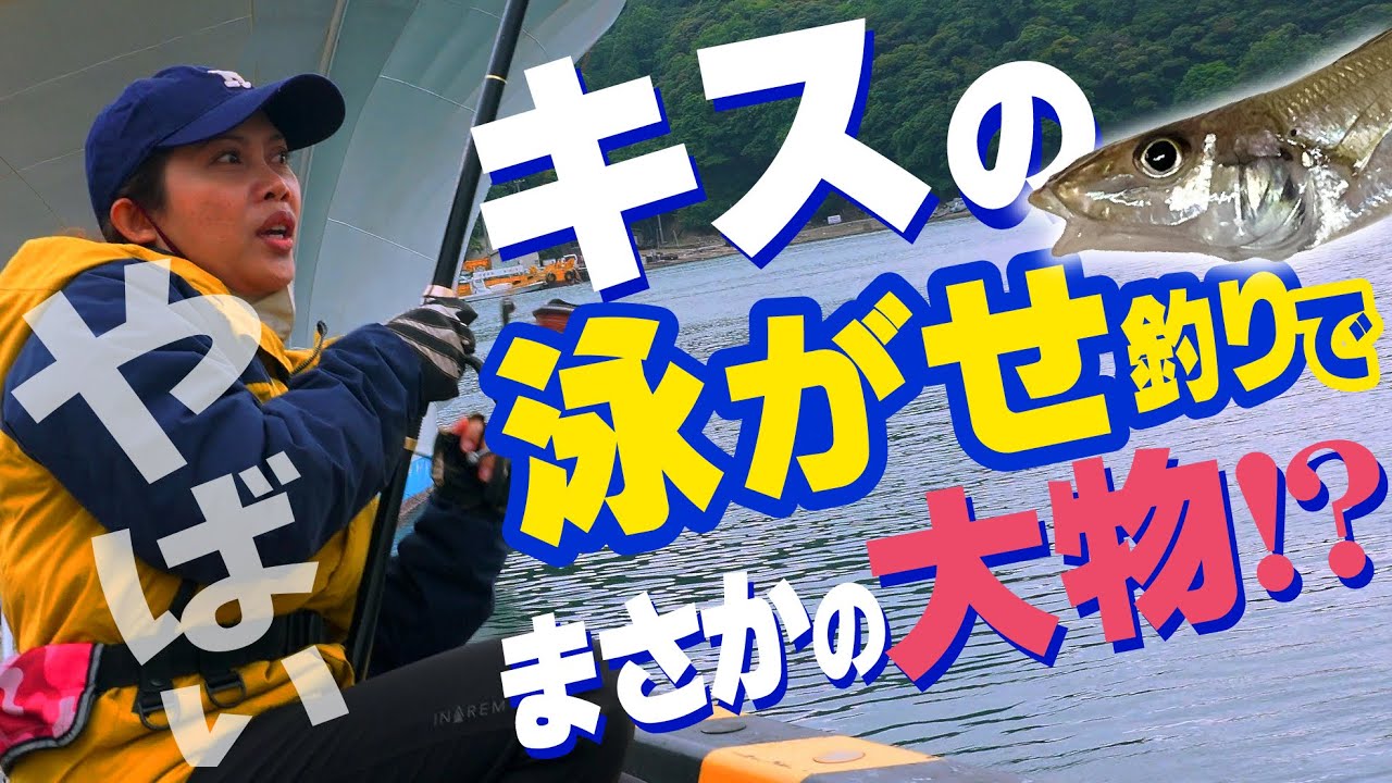 【キス泳がせ釣り】堤防で釣れた キス を泳がせたら、まさかの大物(？)が！  Live garfish are used as bait, and large fish have been.