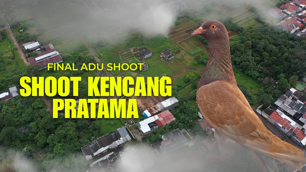 FINAL!!! ADU SHOOT KENCANG PRATAMA DI LAPAK MANDIRI BEKASI