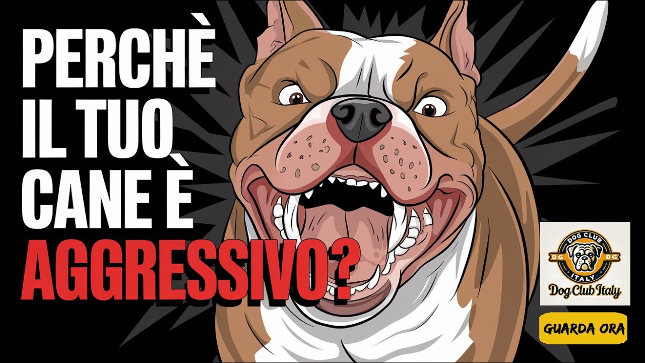 Aggressività nei Cani: Quello che Nessuno Ti Ha Mai Spiegato! #AggressivitàCani  #Aggressive