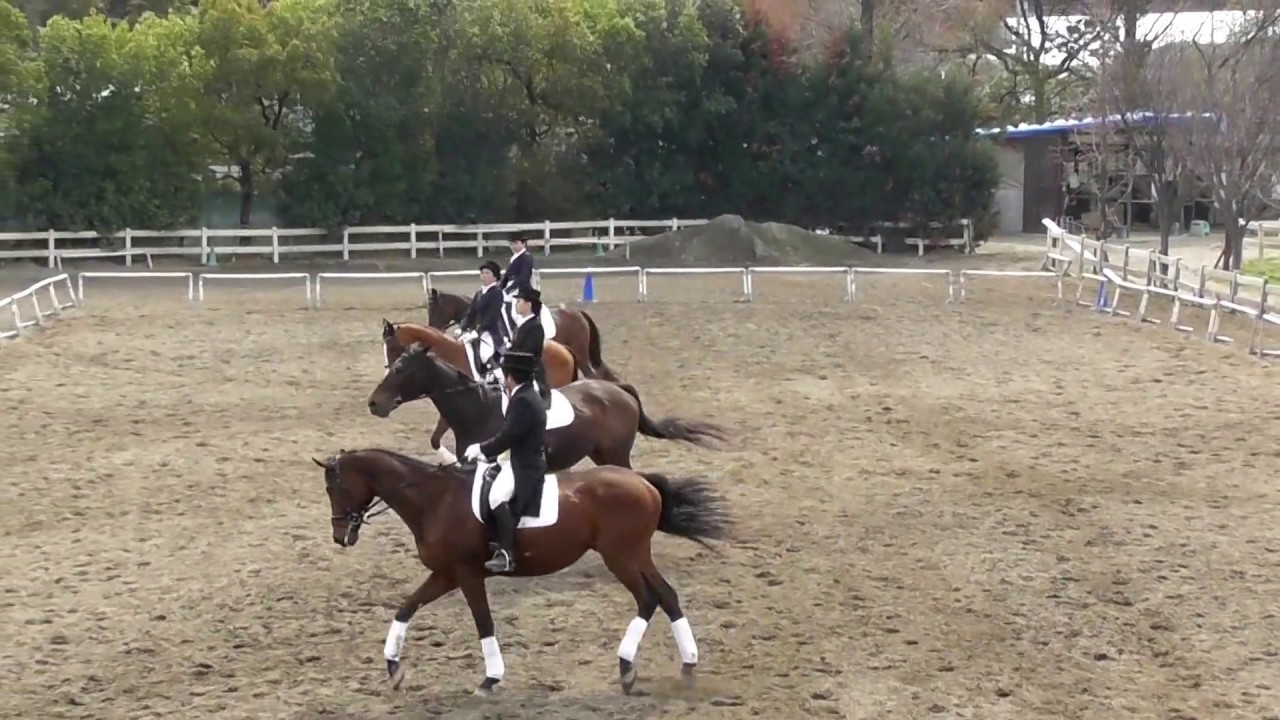 カドリール発表会　2017/3/20　＠クレイン大阪　田中班