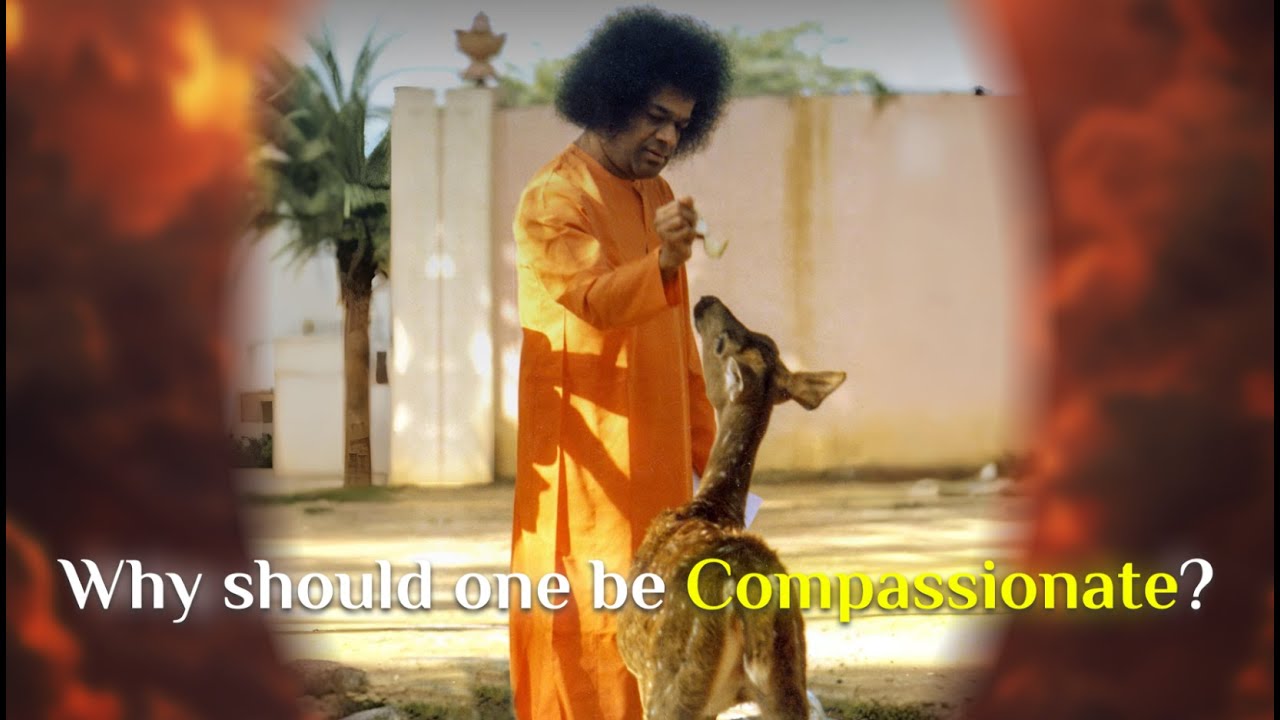 Why should one be Compassionate? Sri Sathya Sai Answers