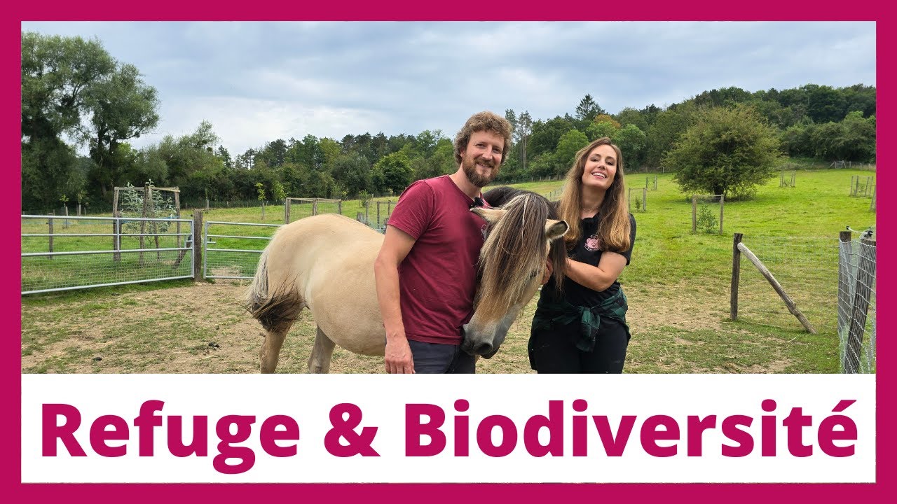 La Petite Ferme de Belvie : Un refuge pour animaux et un havre de biodiversité