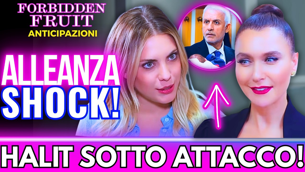 YILDIZ ED ENDER CONTRO HALIT | L'ALLEANZA DELLE EX 🔥CAMBIA TUTTO | Forbidden Fruit