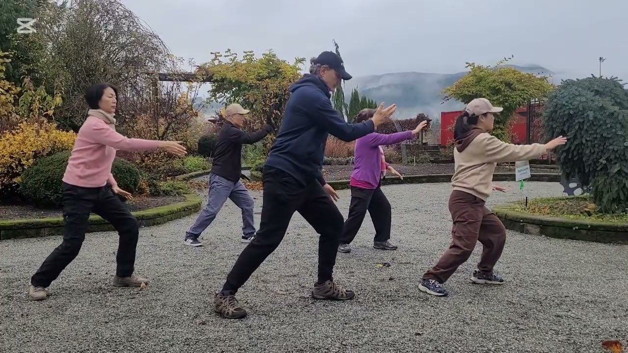 Tai Chi 26 Forms Yang Style