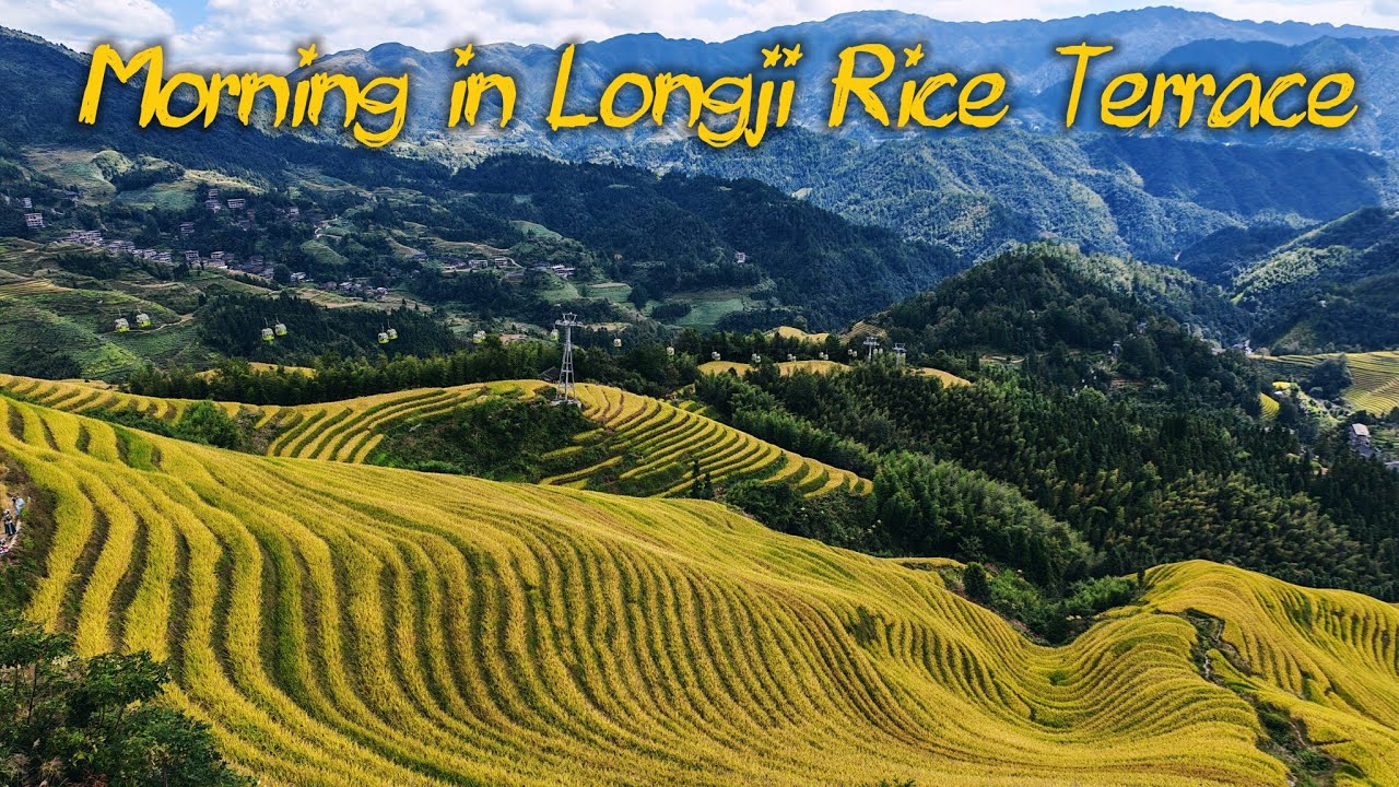 A trip to Longji Rice Terrace #chinatravel #china #naturephotography #guilin #riceterrace #asmr