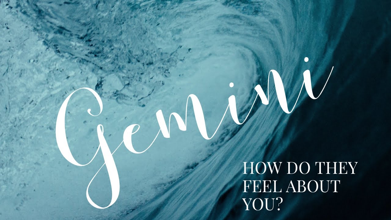 Gemini 💕 How do they feel about you? ✨ Bonus Reading