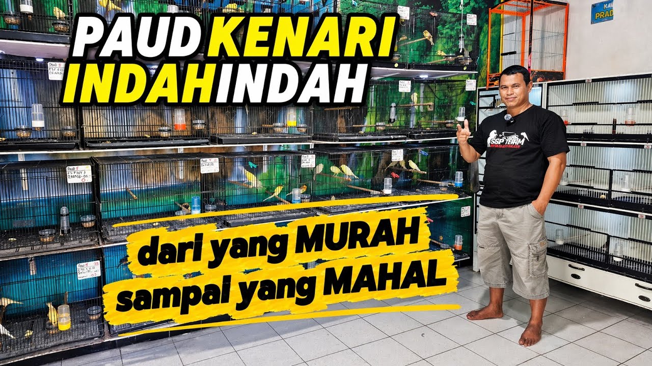 REVIEW PAUD KENARI‼️Stock melimpah dari yang MURAH sampai yang MAHAL...