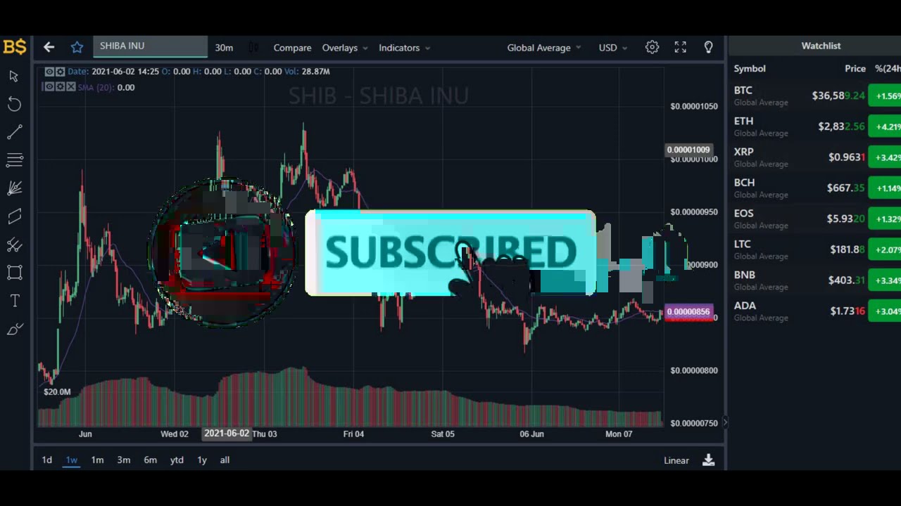 SHIB COIN PRICE PREDICTION 2021!