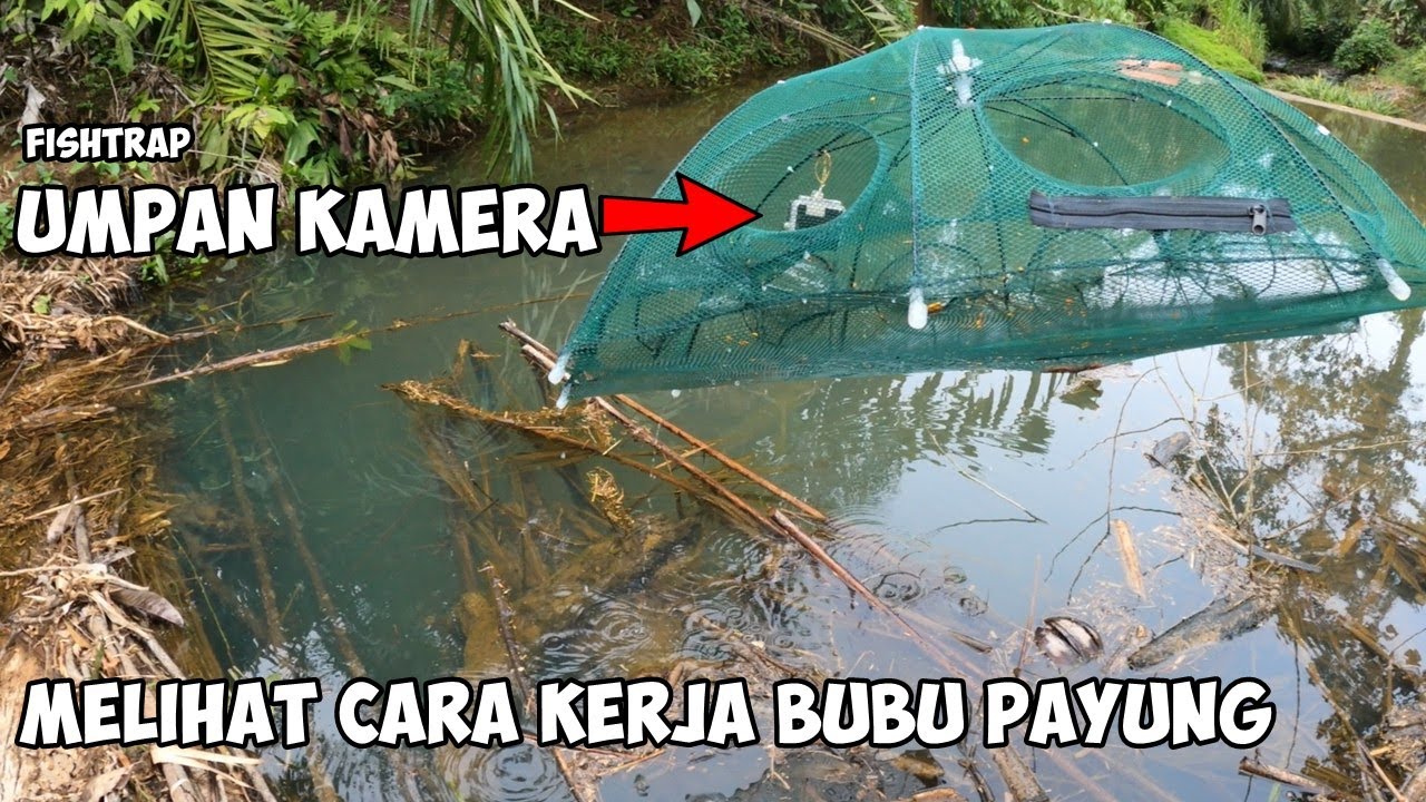 EKSPERIMEN BUBU PAYUNG UMPAN KAMERA