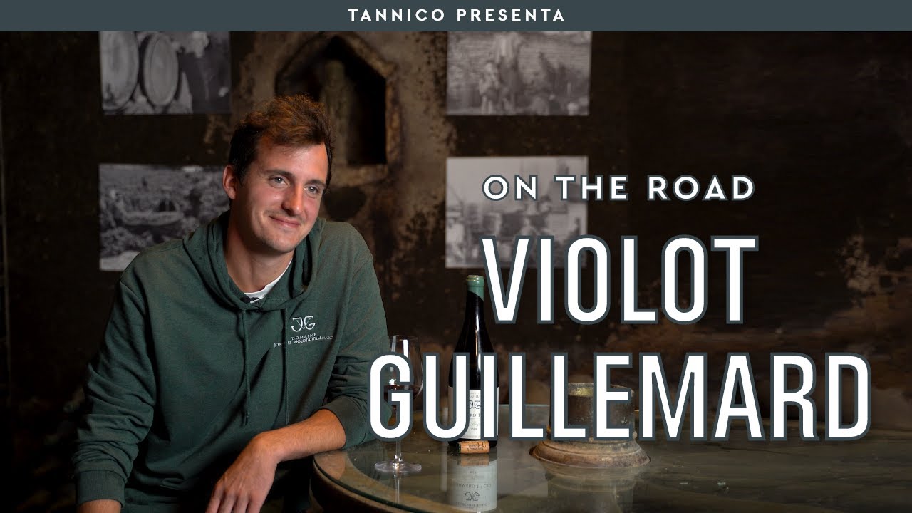 Il Domaine Violot-Guillemard in Borgogna, a Pommard | Tannico On The Road