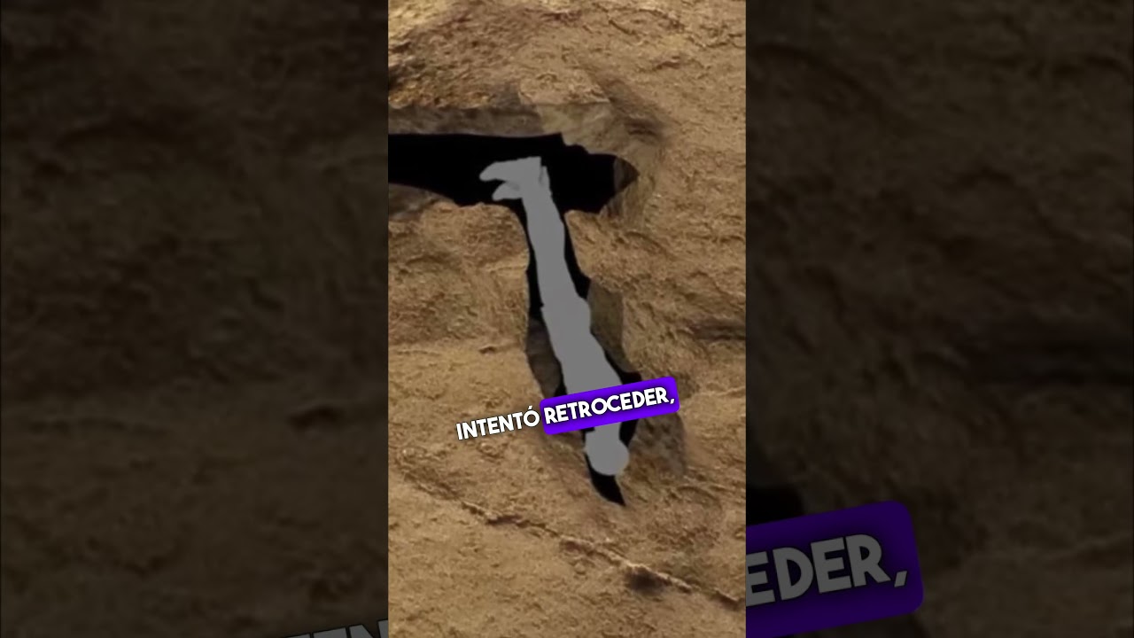 Atrapado en una Cueva por mas de 15 a&ntilde;os #contexto #nuttyputty #cave #johnjones #cueva #cave