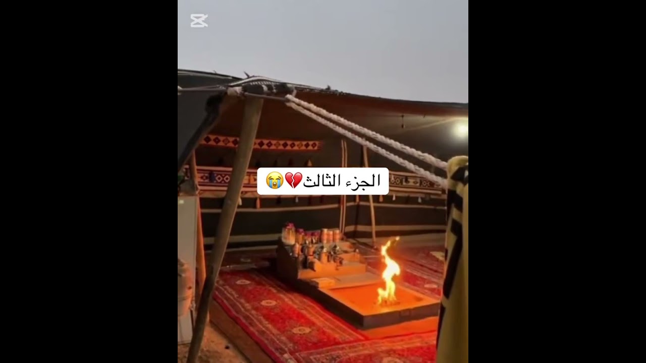 ٢٨ يناير، ٢٠٢٦