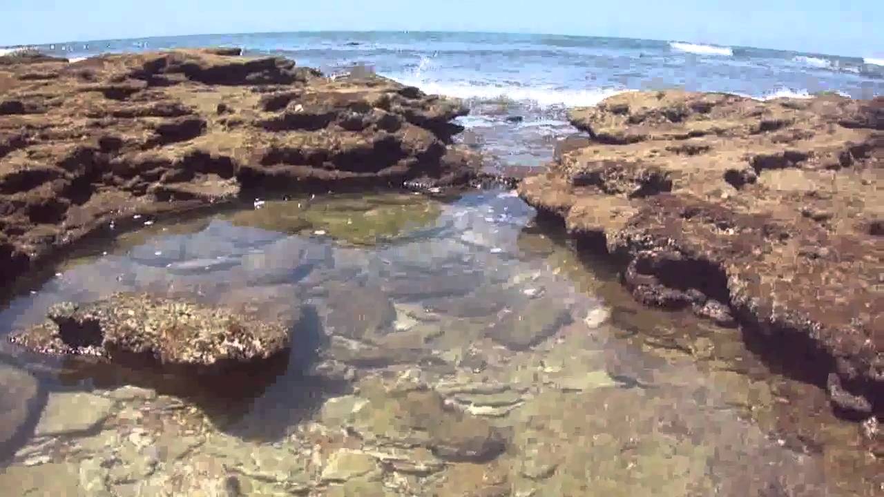 Los Corrales de Rota.MP4