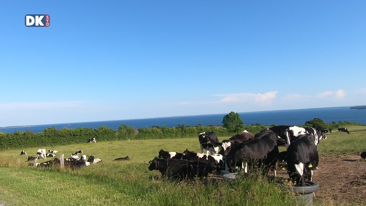 Sol, Sommer og Sønderjylland