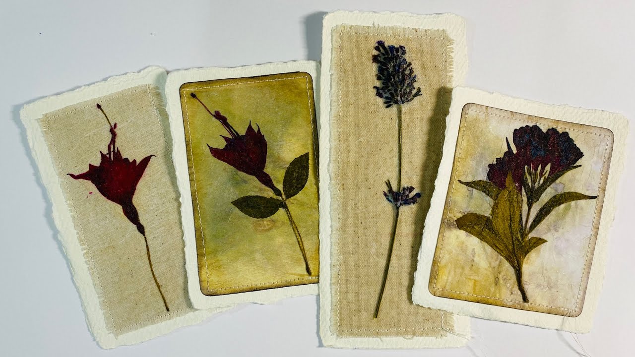 How To Preserve & Enhance Dried Flowers For Beautiful Ephemera - Nature Journal Week 3