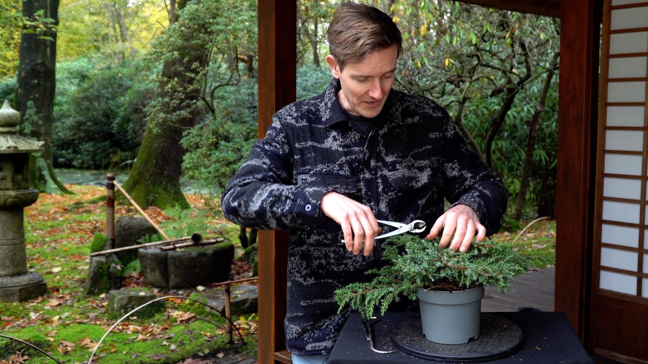 This Juniper Bonsai Didn&rsquo;t Go as Planned&hellip;