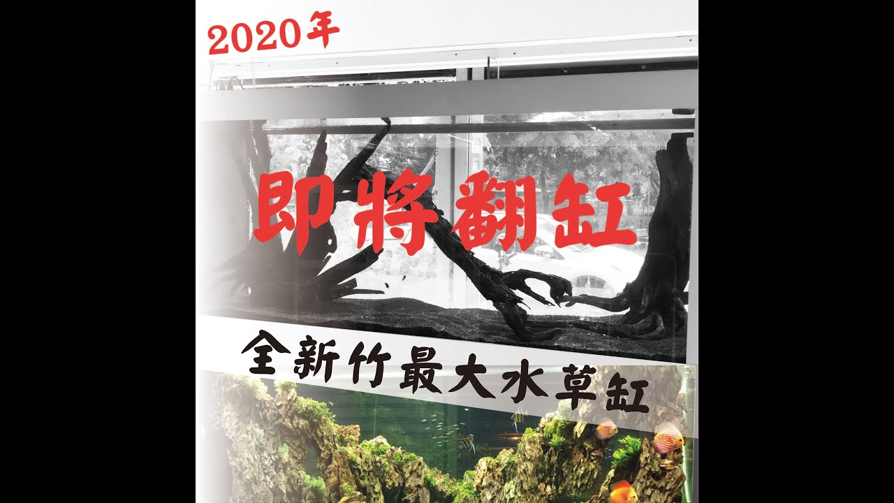 [墨耘水草造景]新竹最大水草缸準備翻缸