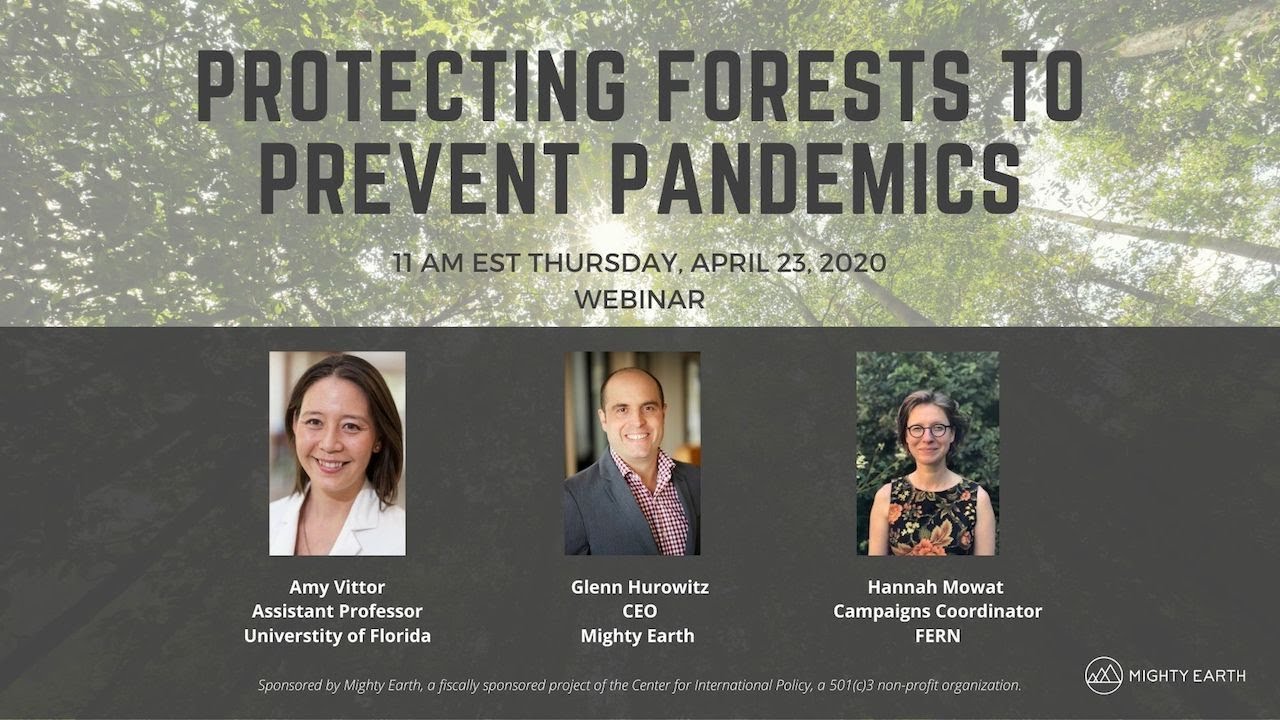 Protect Forests to Prevent Pandemics