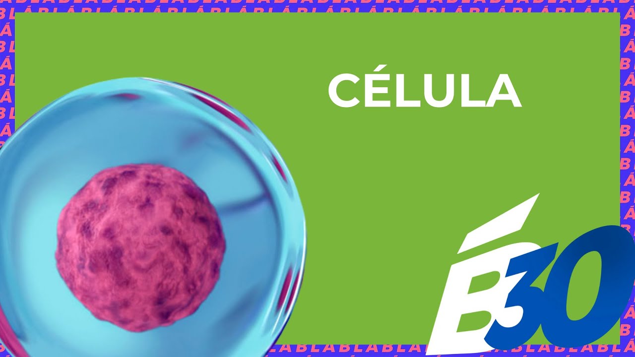 CÉLULA | Biologia em Meia Hora