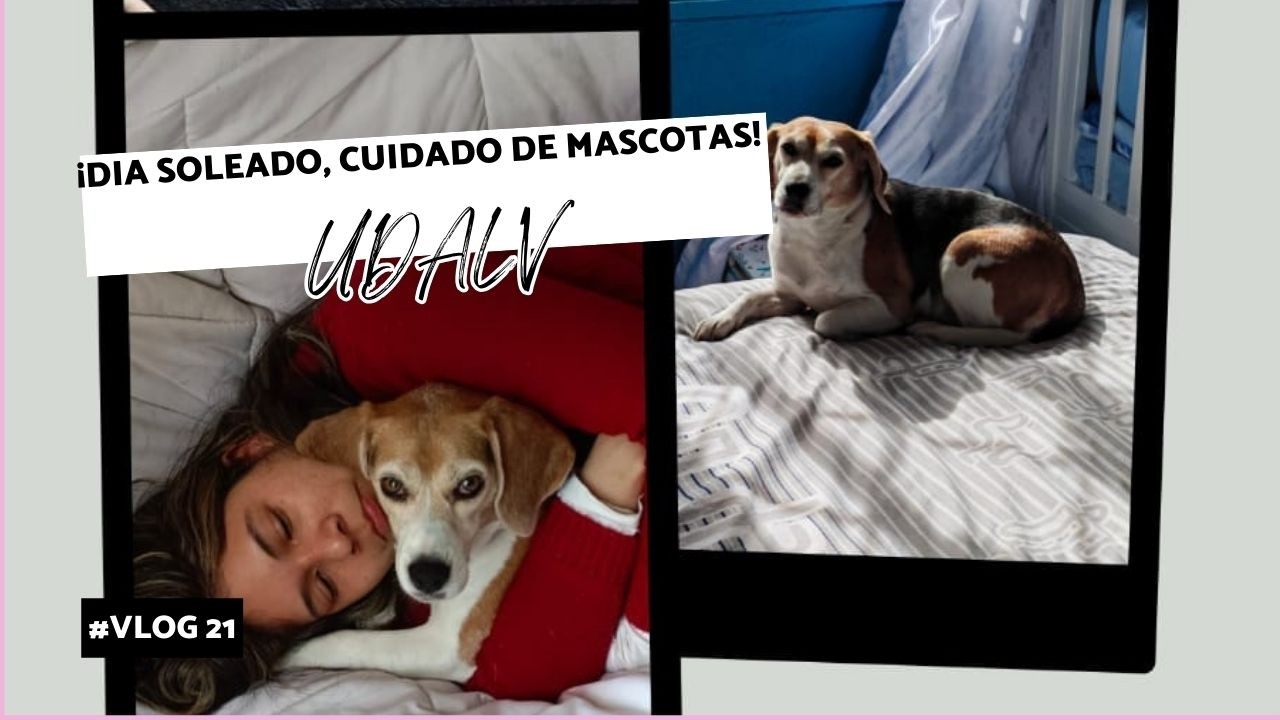 Dia soleado, Cuidado perros ♡ 25-02-2026