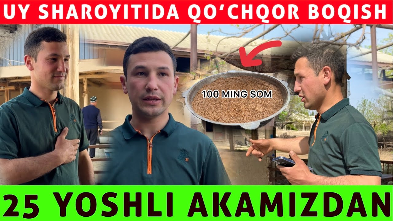 25 YOSHLI AKAMIZDAN UY SHAROYITIDA QO’CHQOR BOQISH SIRLARI 40 TA QO’YGA 100 MING RASXO’T