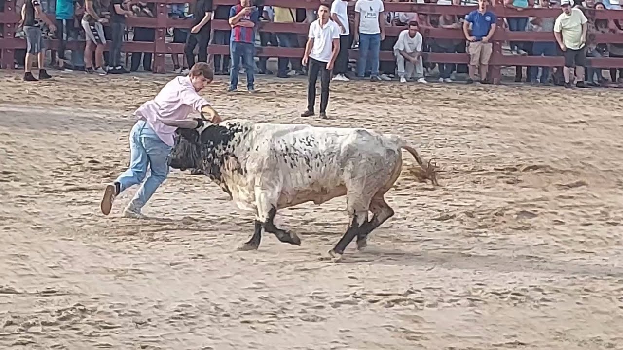 Largadas Feira Anual de Outubro 2024 Vila Franca de Xira