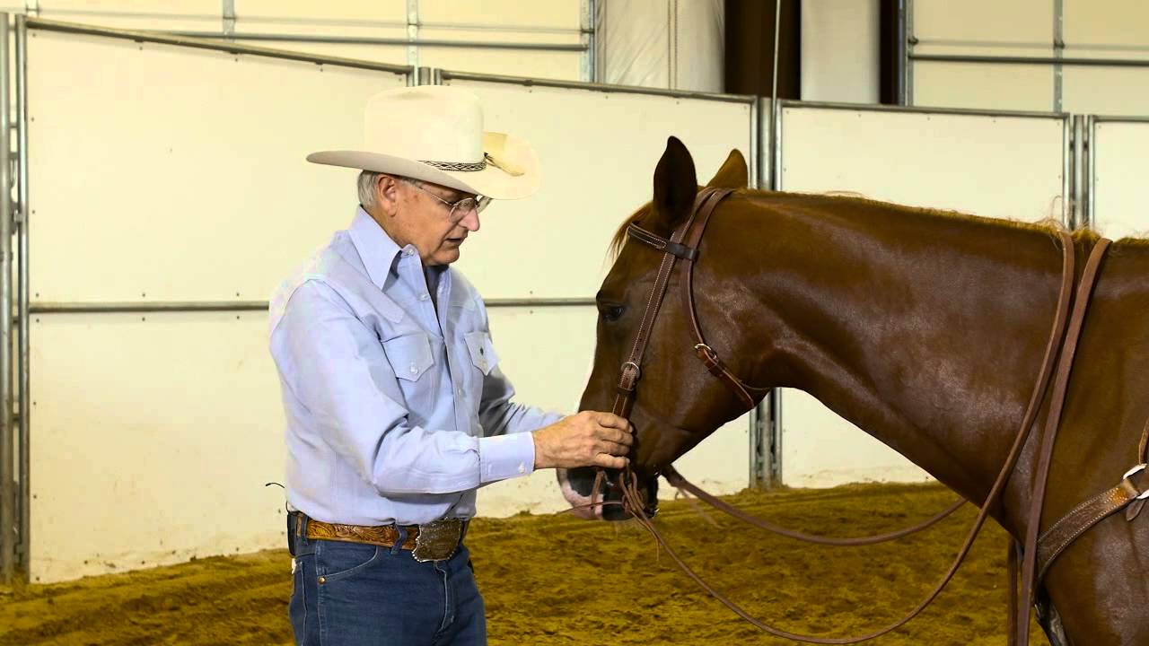 Dennis Moreland Tack Tip: Types & Uses of Western Headstalls