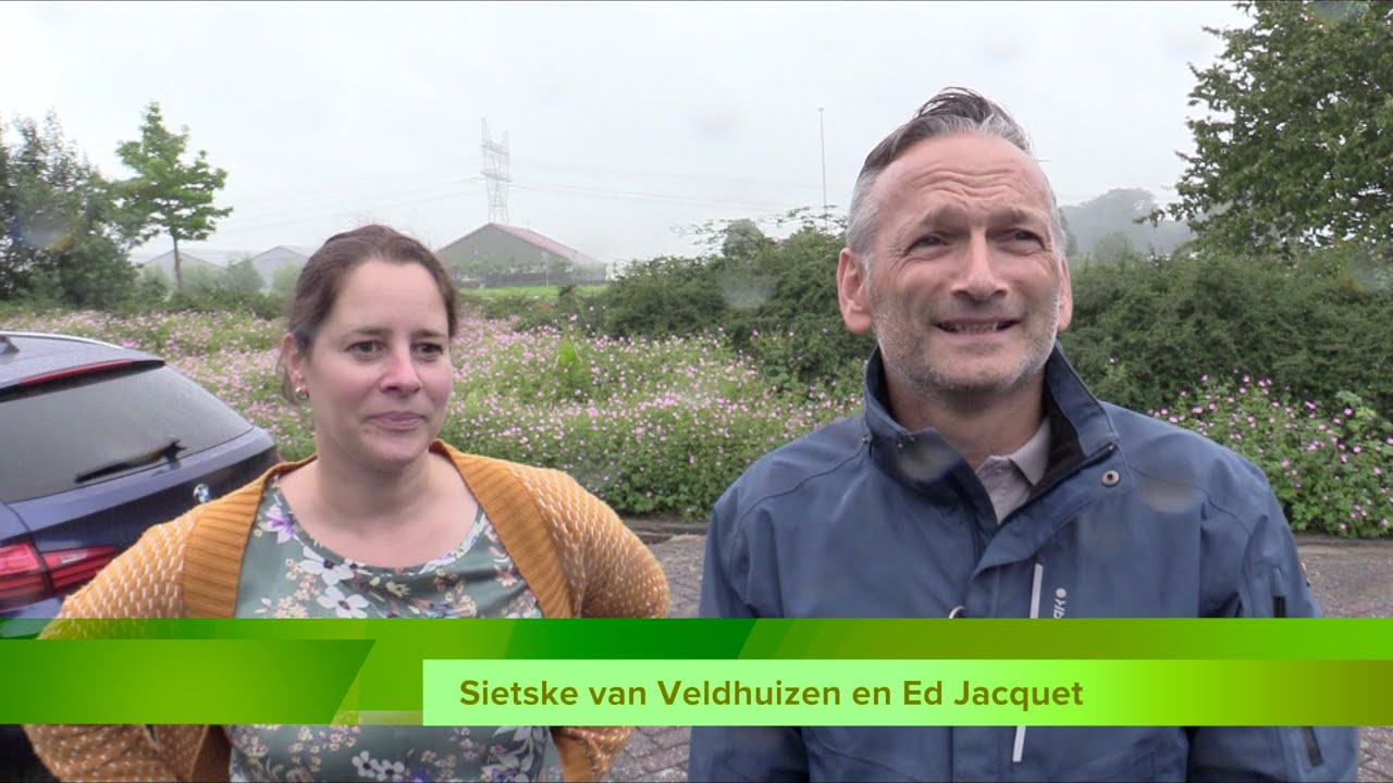 Bewoners wijk De Landmaten over komst arbeidsmigranten aan Rietweg in Dronten