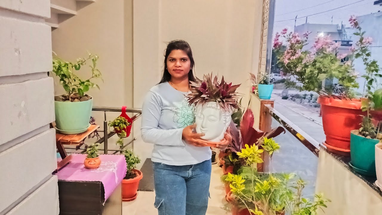 चलिए मेरे बगीचे (Garden) की सैर करते हैं#happy gardening#garden tour#gardning#plants