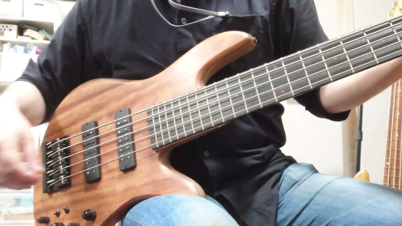 Fodera 2022 Anniversary Emperor 5 Deluxe DEMO