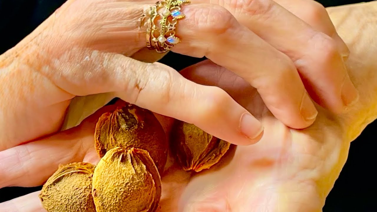 What Do Apricot Pits & Suede Shoes Have in Common … Nothing! 