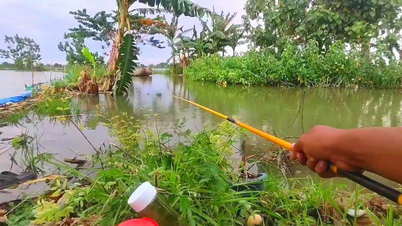 Was-was‼️pakai tegek malah di hajar ikan mas banjiran