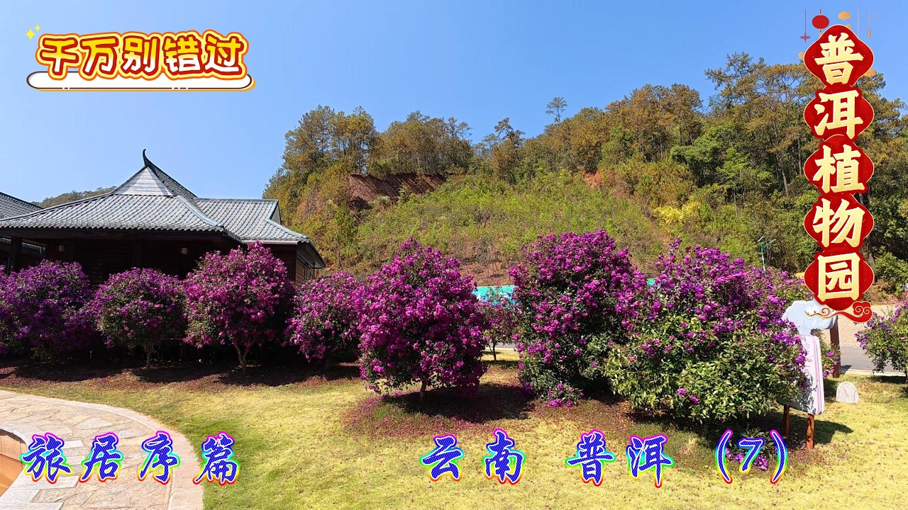 【旅居序篇】云南 普洱 植物园 亚太森林组织 春风云庭
